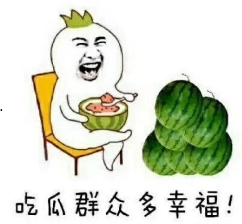 娱乐圈的吃瓜货